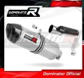 exhaust muffler DOMINATOR homologated road legal HP1 fits to CB 600F HORNET 2003  2006