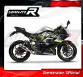 εξάτμιση τελικό DOMINATOR GP κατάλληλο για μοτοσυκλέτα Kawasaki NINJA 125 Z125 2019 - 2023 4