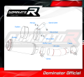 exhaust muffler DOMINATOR GP fits to Yamaha FZ8 FAZER 2010  2016 4