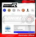 εξάτμιση σιγαστήρας DOMINATOR Εγκεκριμένη GP κατάλληλη για μοτοσυκλέτα Kawasaki Z 900 2020 - 2024 5