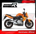 εξάτμιση τελικό DOMINATOR GP1 κατάλληλο για μοτοσυκλέτα Kawasaki ER - 6 N / F 650 2009 - 2011 4