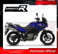 εξάτμιση τελικό DOMINATOR HP1 κατάλληλο για μοτοσυκλέτα Suzuki DL 650 V-Strom 2004 - 2006 4