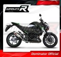εξάτμιση τελικό DOMINATOR HP8 κατάλληλο για μοτοσυκλέτα Kawasaki Z800 2013 - 2016 4