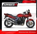 εξάτμιση τελικό DOMINATOR HP1 κατάλληλο για μοτοσυκλέτα Kawasaki ZR7 / ZR7S 1999 - 2004 3