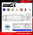 exhaust muffler DOMINATOR HP1 fits to Ducati MONSTER 695 2006  2008 2