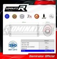 εξάτμιση τελικό DOMINATOR Οβάλ που ταιριάζει στη μοτοσυκλέτα Kawasaki ZRX 1200 2001 - 2007 2