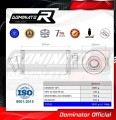 εξάτμιση τελικό DOMINATOR GP1 κατάλληλο για τη μοτοσυκλέτα Suzuki SV 650 N 1999 - 2002 2