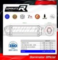 εξάτμιση τελικό DOMINATOR HP1 κατάλληλο για τη μοτοσικλέτα Honda FMX 650 2005 - 2009 5
