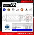exhaust muffler DOMINATOR GP1 fits to Kawasaki Z1000SX 2010  2013 4