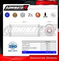 εξάτμιση σιγαστήρας DOMINATOR Οβάλ κατάλληλος για τη μοτοσυκλέτα BMW R1200R 2010 - 2014 5