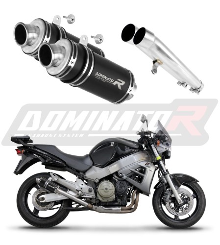 εξάτμιση σιγαστήρας DOMINATOR GP1 ΜΑΥΡΟ κατάλληλο για τη μοτοσυκλέτα Honda CB 1100 X11 6
