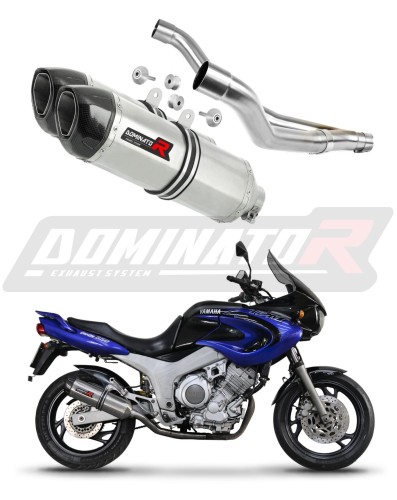 εξάτμιση τελικό DOMINATOR HP1 κατάλληλο για μοτοσυκλέτα Yamaha TDM 850 1991 - 1995 6