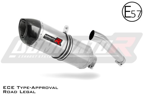 exhaust muffler DOMINATOR homologated road legal HP1 fits to Yamaha FZS FAZER 600 1998  2003 3