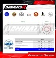 εξάτμιση σιγαστήρας DOMINATOR Εγκεκριμένος OVR κατάλληλος για τη μοτοσυκλέτα Kawasaki Z1000 2003 - 2006 3