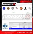 εξάτμιση τελικό DOMINATOR OVR κατάλληλο για μοτοσυκλέτα Aprilia RSV 1000 R 2004 - 2009 3