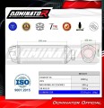 εξάτμιση τελικό DOMINATOR S6 κατάλληλο για μοτοσυκλέτα CF MOTO 450 MT 2024  5