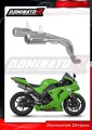 exhaust muffler DOMINATOR GPS fits to Kawasaki ZX10R 2006  2007 2