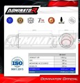 εξάτμιση τελικό DOMINATOR GPF BLACK που ταιριάζει στη μοτοσυκλέτα Yamaha Tenere 700 2021 - 2024 3