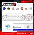 εξάτμιση τελικό DOMINATOR HP1 κατάλληλη για μοτοσυκλέτα Honda CBF 600 2004 - 2007 3