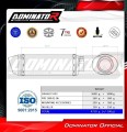 εξάτμιση τελικό DOMINATOR HP2 κατάλληλο για μοτοσυκλέτα Ducati 999 2001 - 2006 3