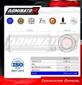 wydech tłumik DOMINATOR GP CZARNY pasujący do motocykla BMW S1000R 2021 - 2026 6
