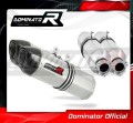 exhaust muffler DOMINATOR HP1 fits to KTM 950 SE Super Enduro R