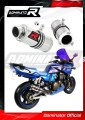 exhaust muffler DOMINATOR GP1 fits to Kawasaki ZRX 1200 S 2001  2007