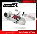 exhaust muffler DOMINATOR GP1 fits to Honda CBF 1000 2010  2013