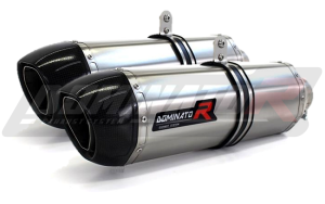 Triumph SPEED TRIPLE 1050 2005 - 2010 Exhaust Silencer Muffler HP1 + dB killer medium