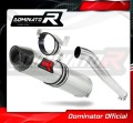 exhaust muffler DOMINATOR HP2 fits to Honda CBR 1000RR 2006  2007 2